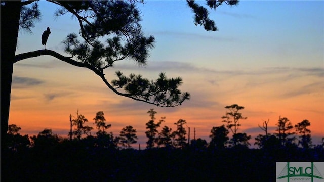 view of nature