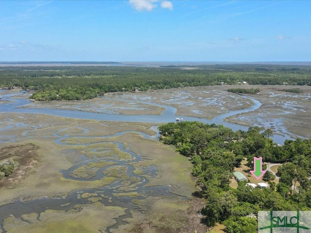 bird's eye view featuring a water view and a view of trees