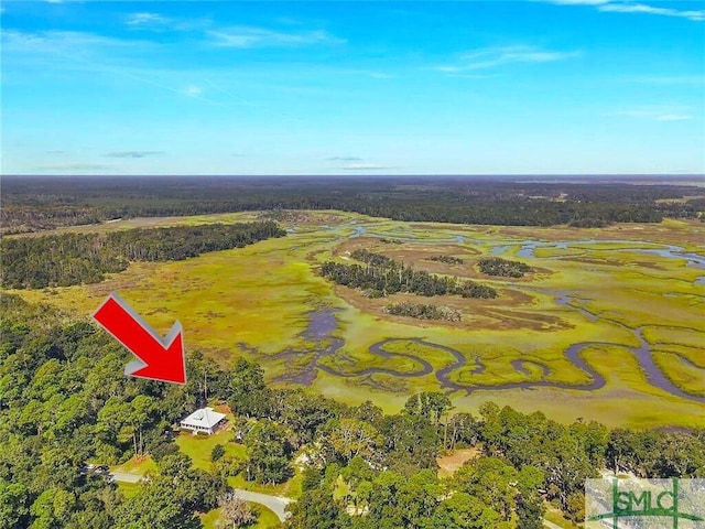 1261 Otter Slide Loop NE, Townsend, GA 31331 - aerial overview of property's location with a heavily wooded area
