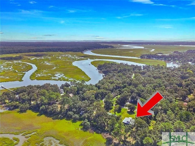 1261 Otter Slide Loop NE, Townsend, GA 31331 - bird's eye view of a large body of water and a heavily wooded area