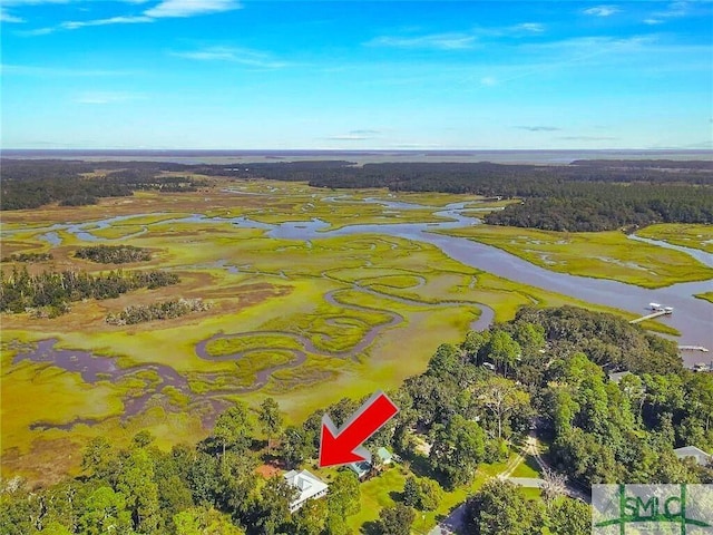 1261 Otter Slide Loop NE, Townsend, GA 31331 - bird's eye view of a large body of water and a heavily wooded area