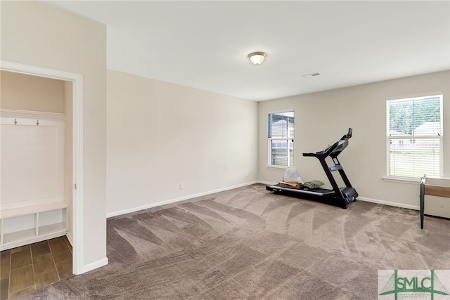 98 Westbourne Way, Savannah, GA 31407 - workout area featuring carpet floors, baseboards, and visible vents
