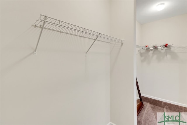 98 Westbourne Way, Savannah, GA 31407 - walk in closet with carpet