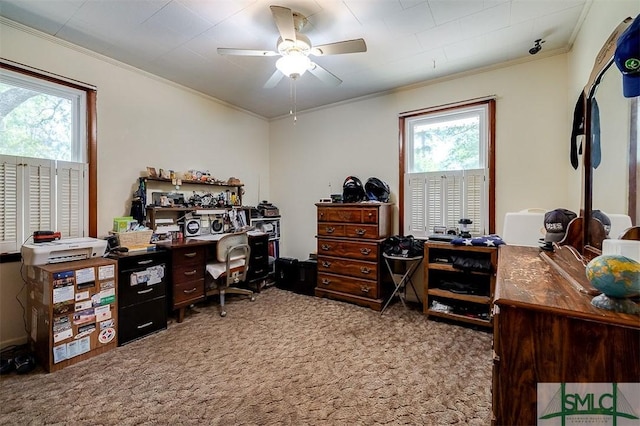 carpeted office with ceiling fan, plenty of natural light, and ornamental molding