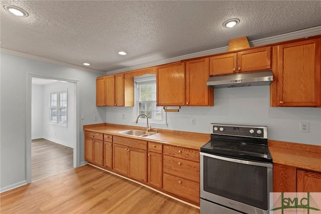 kitchen featuring under cabinet range hood, electric range, a sink, and light wood-style flooring