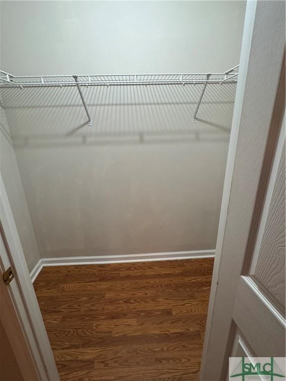 walk in closet featuring wood finished floors