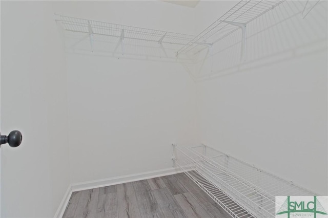 spacious closet featuring wood finished floors