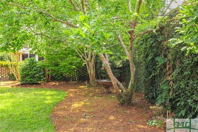 1207 Bacon Park Dr, Savannah, GA 31406 - view of yard