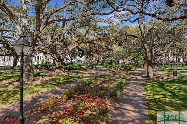 view of property's community