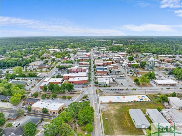 drone / aerial view