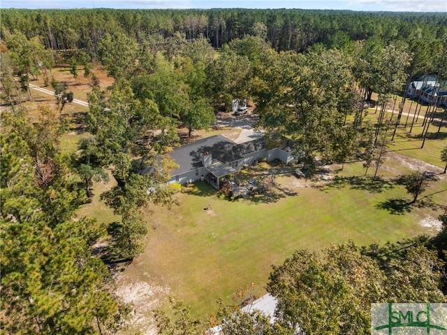 671 M P Martin Rd, Brooklet, GA 30415 - drone / aerial view featuring a view of trees