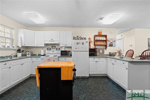 671 M P Martin Rd, Brooklet, GA 30415 - kitchen featuring a sink, a peninsula, white appliances, and dark floors