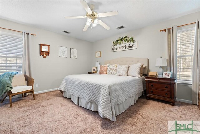 671 M P Martin Rd, Brooklet, GA 30415 - bedroom featuring multiple windows, light carpet, and visible vents
