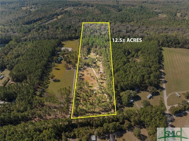 671 M P Martin Rd, Brooklet, GA 30415 - bird's eye view featuring a wooded view and a rural view