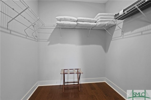 spacious closet with wood finished floors
