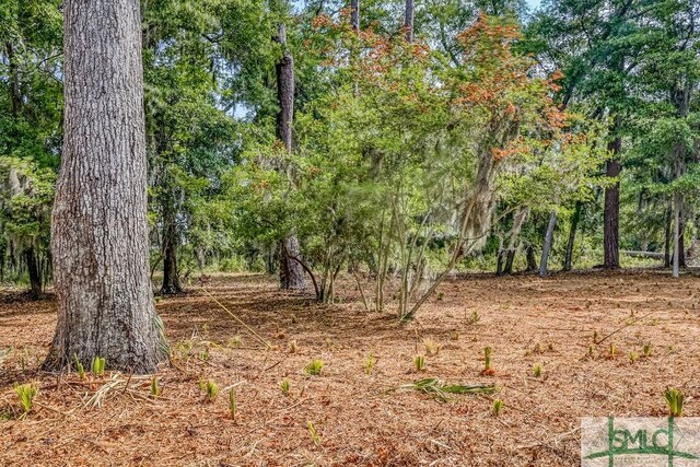 112 Seven Mile Dr, Savannah, GA 31411 - photo 10