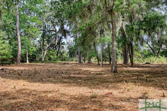 112 Seven Mile Dr, Savannah, GA 31411 - photo 11