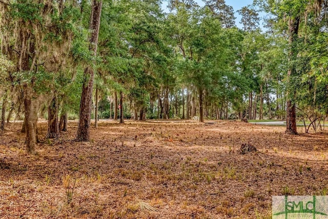 112 Seven Mile Dr, Savannah, GA 31411 - photo 12