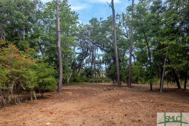 112 Seven Mile Dr, Savannah, GA 31411 - photo 15