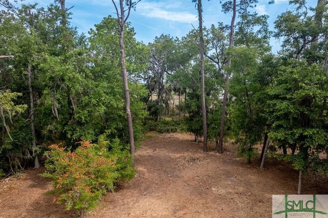 112 Seven Mile Dr, Savannah, GA 31411 - photo 5