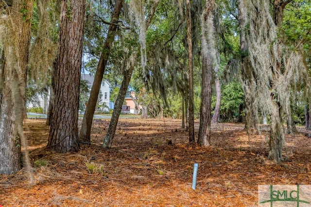 112 Seven Mile Dr, Savannah, GA 31411 - photo 16
