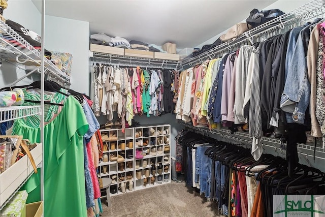 walk in closet with carpet floors