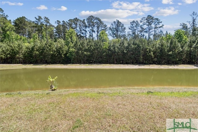 property view of water with a forest view