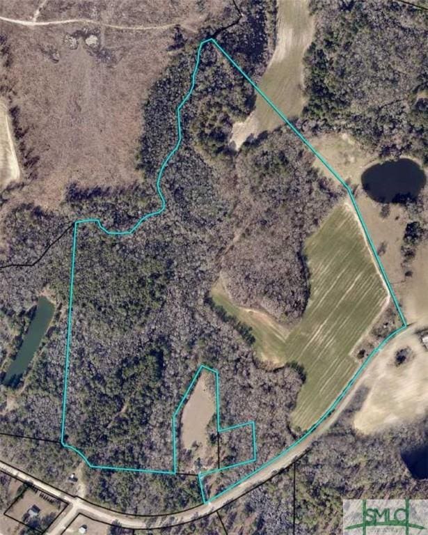 0 Two Chop Rd, Statesboro GA, 30461 land for sale