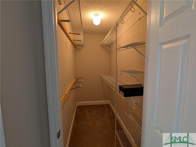 walk in closet featuring carpet flooring