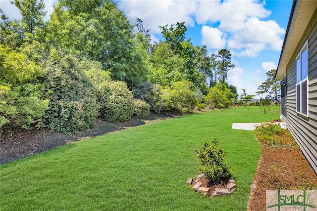 20 Baraco Dr, Savannah, GA 31419 - view of yard