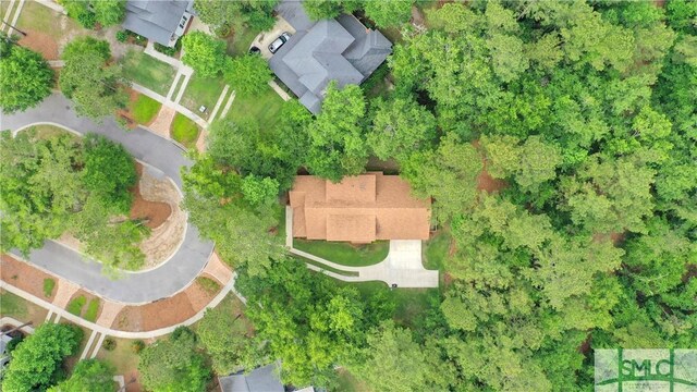 195 Wildlife View Ct N, Richmond Hill, GA 31324 - aerial overview of property's location