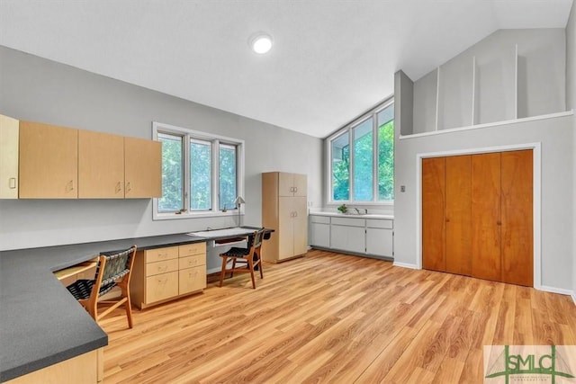 11 Fat Friars Retreat Retreat, Savannah, GA 31411 - office space featuring built in desk, light wood-style flooring, high vaulted ceiling, and a sink