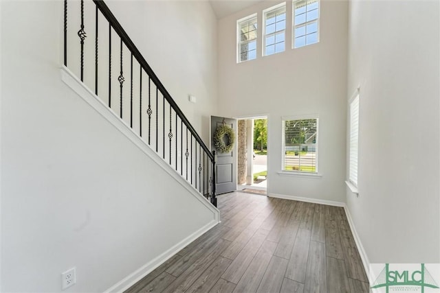 89 Evan Wade Ct NE, Ludowici, GA 31316 - foyer entrance featuring baseboards, wood finished floors, stairway, and a towering ceiling