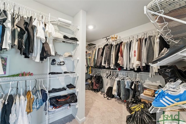 89 Evan Wade Ct NE, Ludowici, GA 31316 - walk in closet featuring carpet floors