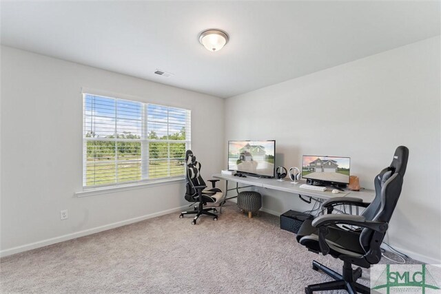 89 Evan Wade Ct NE, Ludowici, GA 31316 - office space with carpet and baseboards