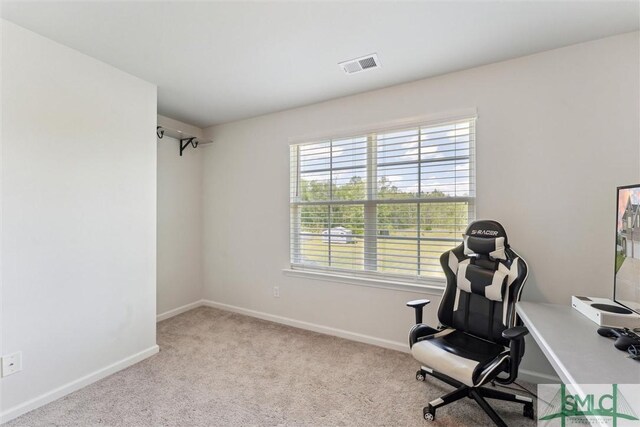 89 Evan Wade Ct NE, Ludowici, GA 31316 - office featuring carpet flooring and baseboards