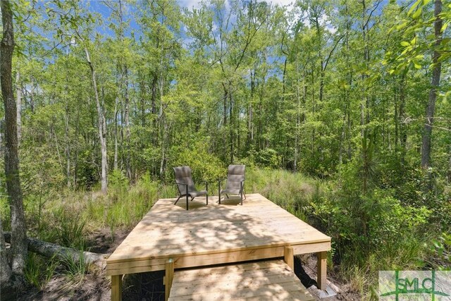 89 Evan Wade Ct NE, Ludowici, GA 31316 - view of community with a wooded view