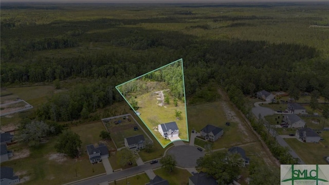 89 Evan Wade Ct NE, Ludowici, GA 31316 - aerial view of property's location featuring a forest and property parcel outlined