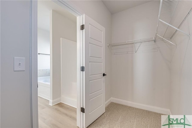 288 Timberlake Dr, Guyton, GA 31312 - walk in closet with light wood finished floors
