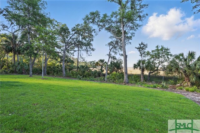 97 Cubbage Island Dr, Richmond Hill, GA 31324 - photo 47