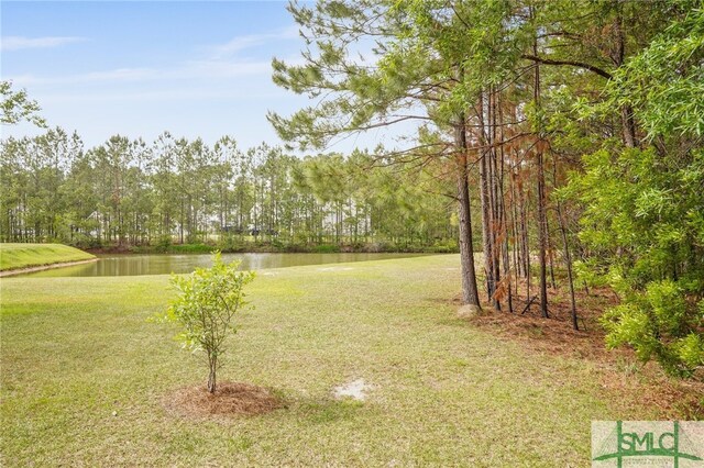 30 Winter Lake Cir, Savannah, GA 31407 - photo 19