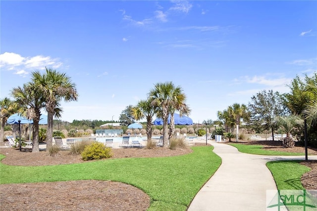 901 Garden Hills Loop, Richmond Hill, GA 31324 - view of property's community featuring a lawn