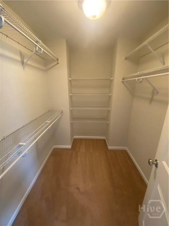 901 Garden Hills Loop, Richmond Hill, GA 31324 - photo 20