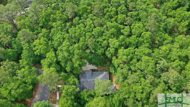 190 Blackjack Oak Dr E, Richmond Hill, GA 31324 - view of property location
