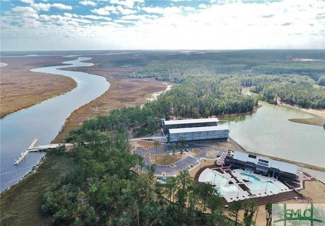 190 Blackjack Oak Dr E, Richmond Hill, GA 31324 - aerial view of a nearby body of water and a heavily wooded area