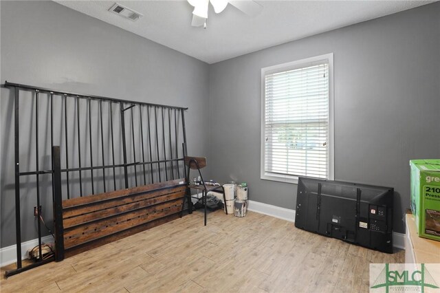 2431 Walden Way, Statesboro, GA 30458 - living area with wood finished floors, ceiling fan, baseboards, and plenty of natural light