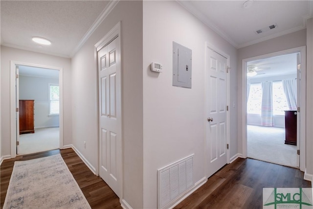 hall with dark wood finished floors, electric panel, ornamental molding, and baseboards