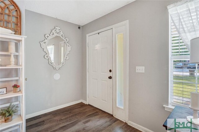 11 Pelican Ct, Richmond Hill, GA 31324 - foyer entrance with wood finished floors and baseboards