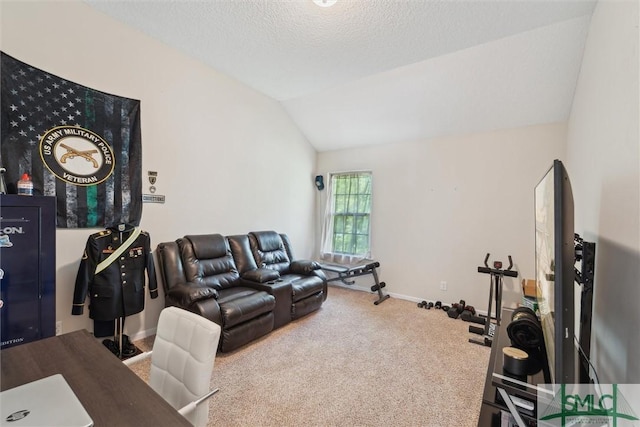 carpeted living area with lofted ceiling, baseboards, and a textured ceiling