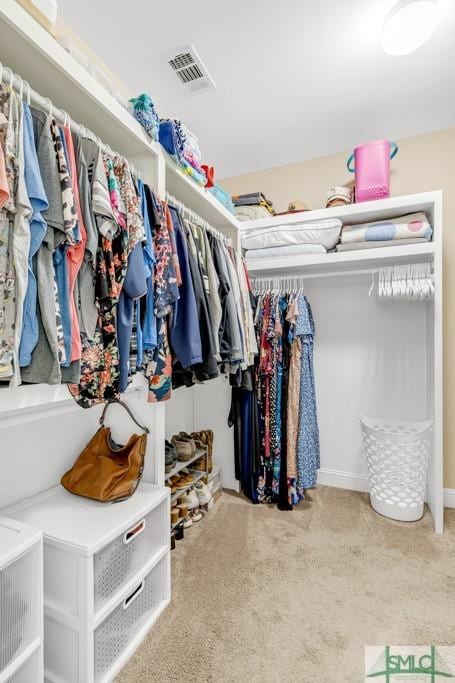 spacious closet with carpet floors